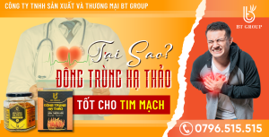 https://dongtrunghathaoquangnam.vn/wp-content/uploads/2023/03/dtht-tot-cho-tim-mach-1.png
